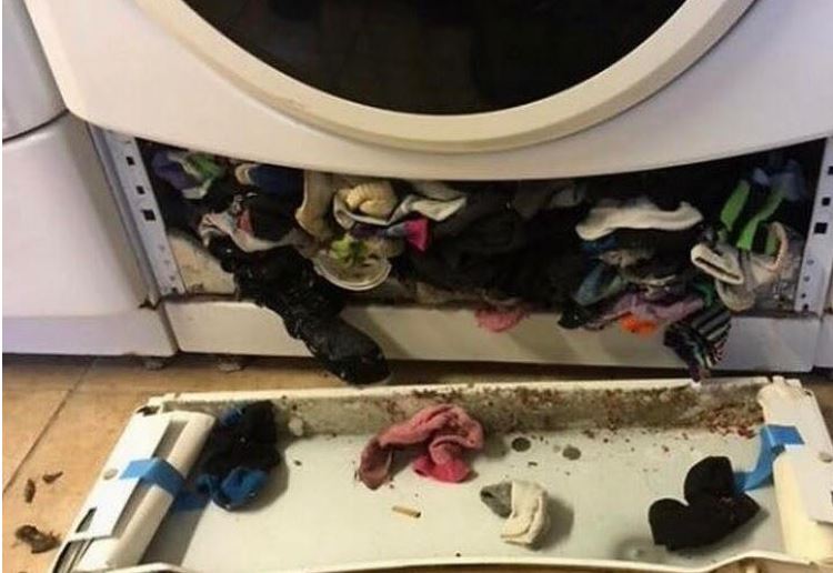 7 costless tricks to clean your washer and dryer