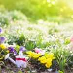 Beautiful Blooming Garden With Flower Bed On Sunny Spring Day. W