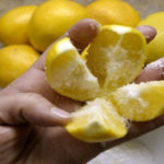 lemon-salt-e1500214996169-696×365