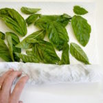 Freezing-Basil-Leaves-rolling-in-paper-towel_650