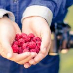 healthy-hands-fruits-raspberries