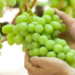 hands-grapes