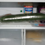 giant-cucumber