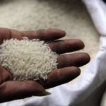 63179-china-makes-fake-rice-from-plastic-report-696×464