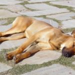 heatstroke-treatments