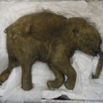 Harvard-scientists-pledge-to-bring-back-woolly-mammoth-from-extinction-within-two-years-1200×514