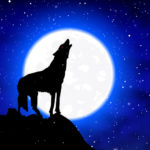 A Wolf In The Snow Howls At The Full Moon, Vector Art Illustrati